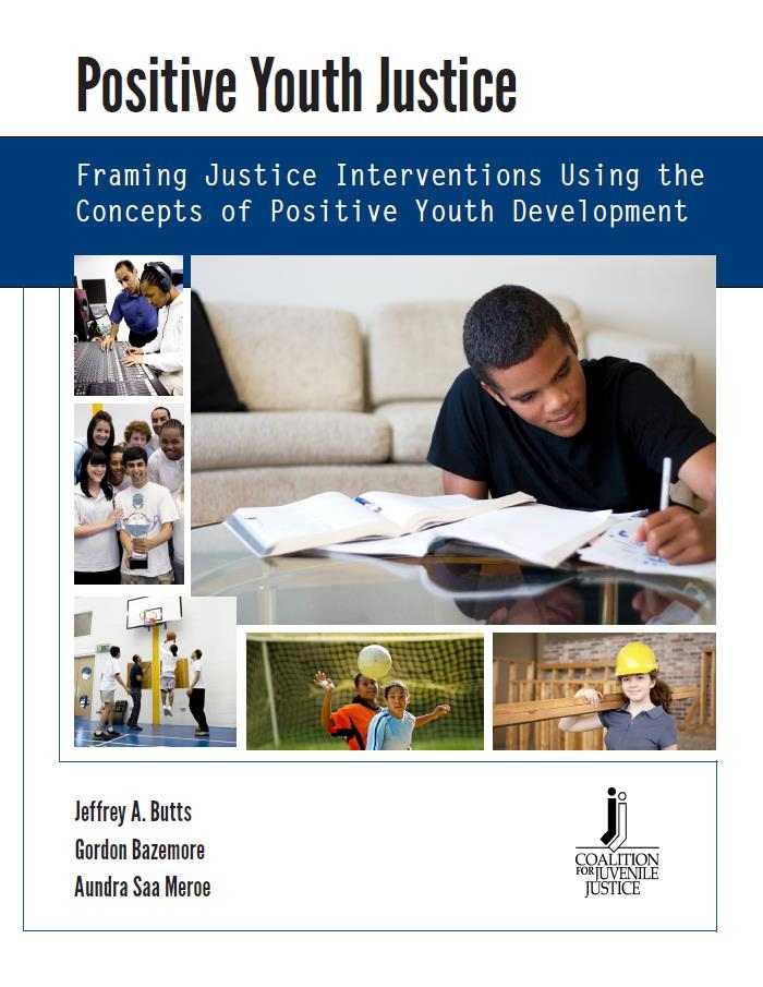 Framing Justice Interventions Using the Concepts of Positive Youth Development